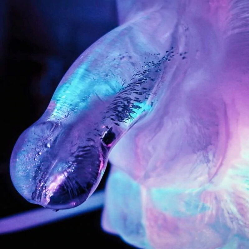 SPIEL MIT MIR - RIESIGE PENIS-EISLUFTFORM