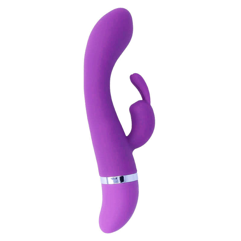 Curved lilac silicone vibrator with silver accent and dual stimulation design.