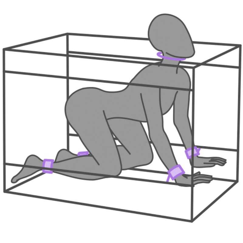 GEHEIME KUPPEL - KINK CLUB LA NICHE CABIN PURPLE